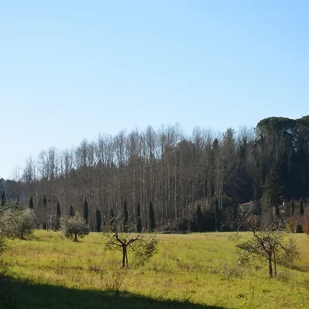 La Rinascita * Crespina